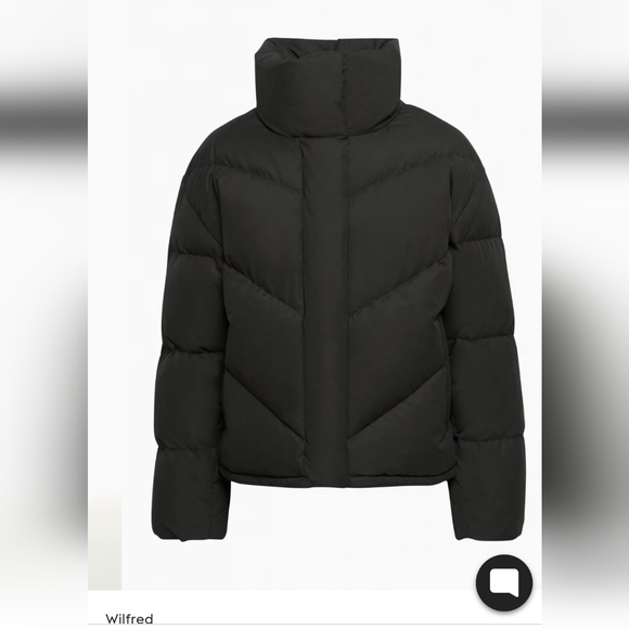 Aritzia Jackets & Blazers - Aritzia 🔥🔥2X HOST PICK🔥🔥Wilfred The Cloud Puff Jacket